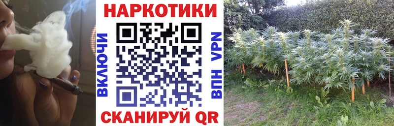 Виды наркоты Лосино-Петровский blacksprut онион  АМФ  А ПВП  Канабис  ГАШ  COCAIN  Галлюциногенные грибы 