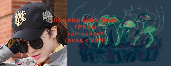 стафф Абинск