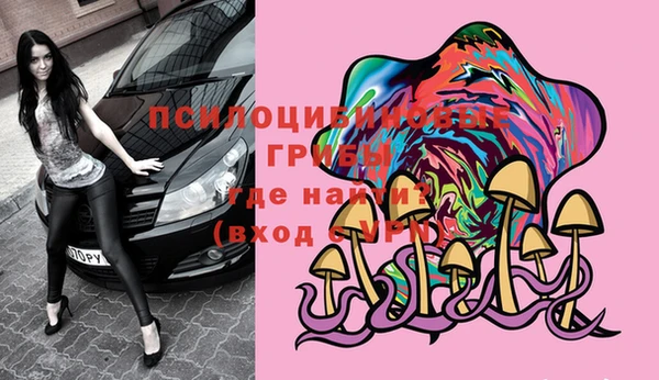 стафф Абинск