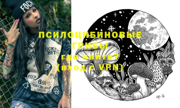 apvp Абаза