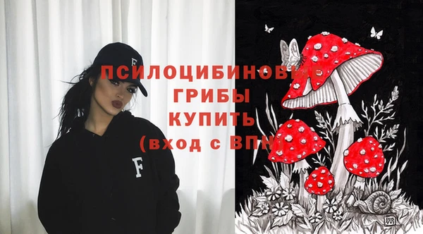стафф Абинск