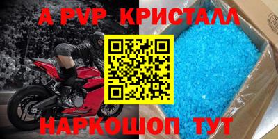ешки Гай