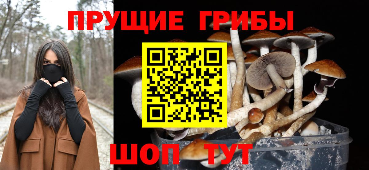 Лосино-Петровский  Псилоцибиновые грибы прущие грибы  Галлюциногенные грибы Magic Shrooms  Вход с VPN 